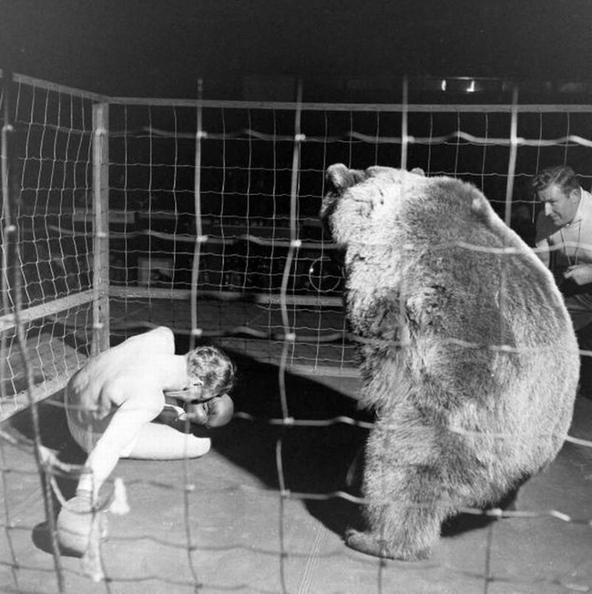 El triste combate de Gus Waldorf contra un oso en una jaula